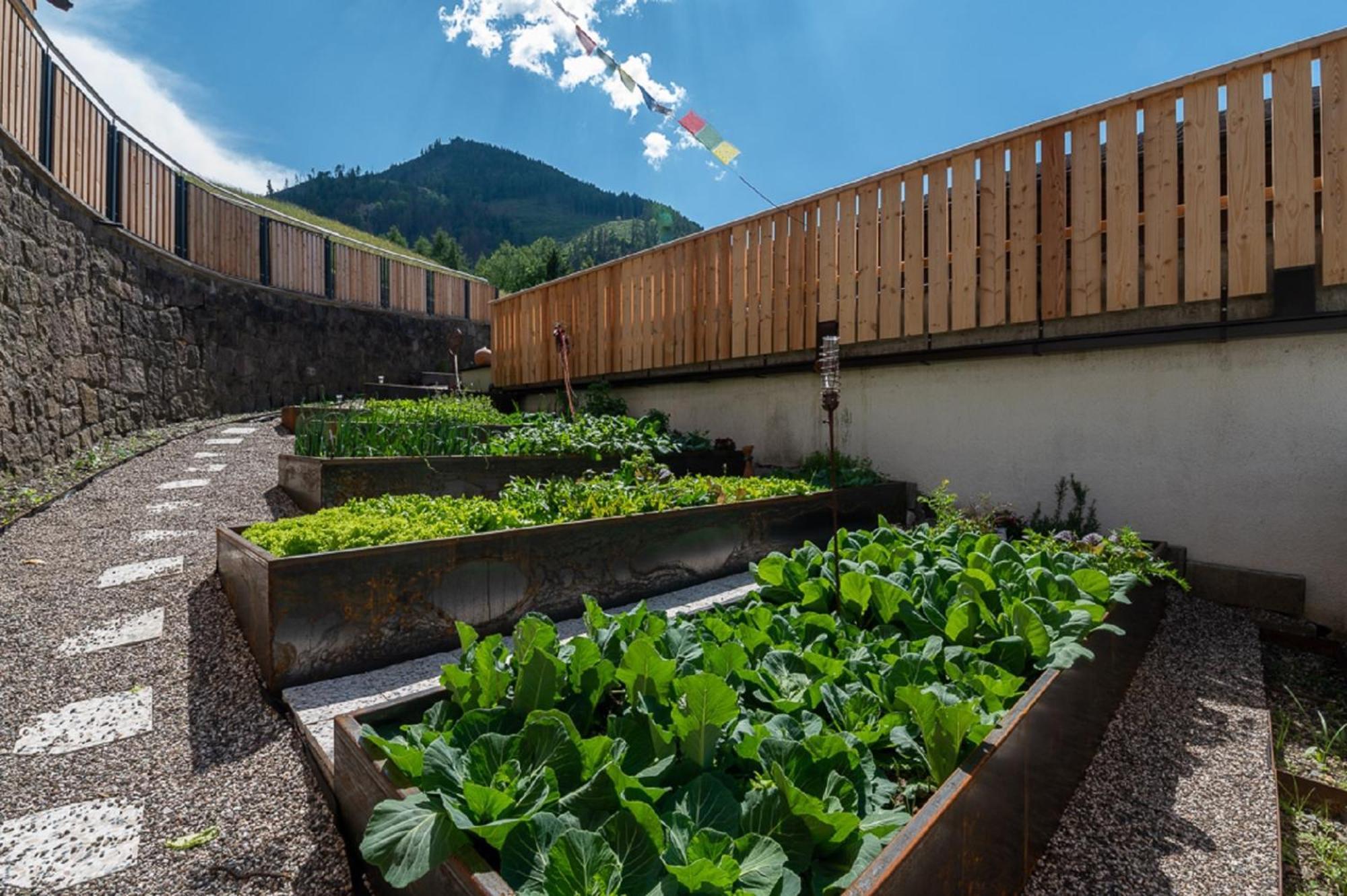 Planerhof Apartment Edelweiss Funes (Bolzano) Exterior foto